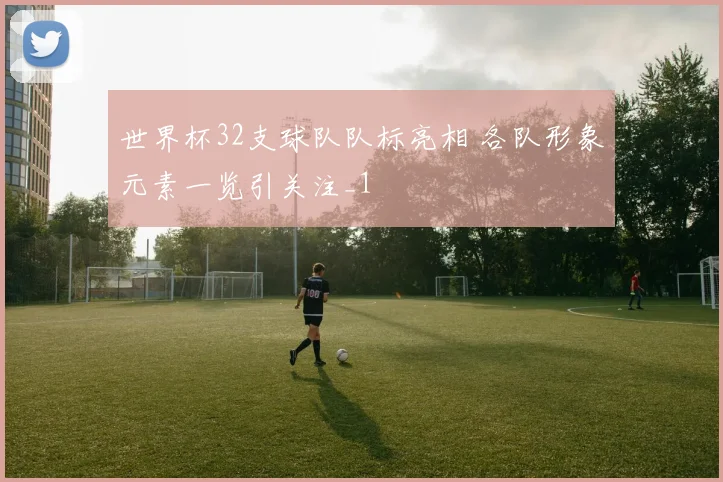 世界杯32支球队队标亮相 各队形象元素一览引关注_1