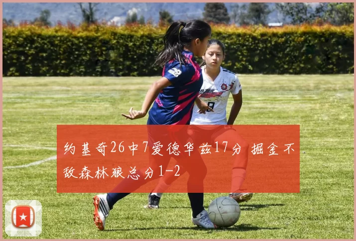 约基奇26中7爱德华兹17分 掘金不敌森林狼总分1-2